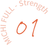 icon_strength01