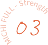 icon_strength03