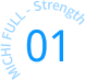 sales_icon_strength01